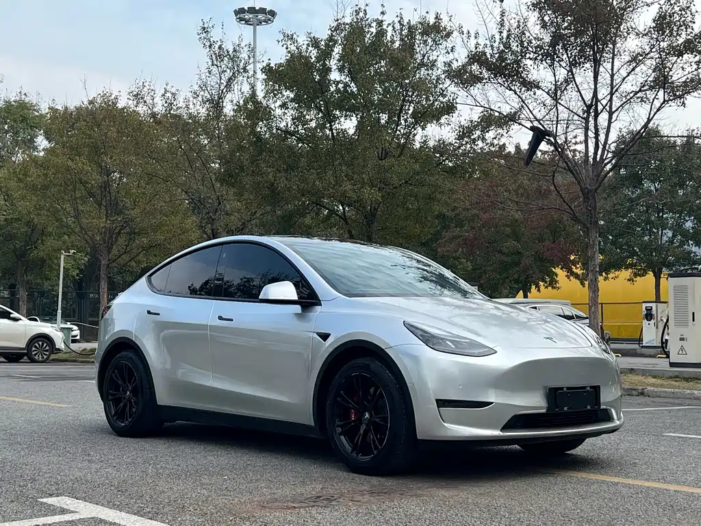 Tesla Model Y 2021 — фото 3