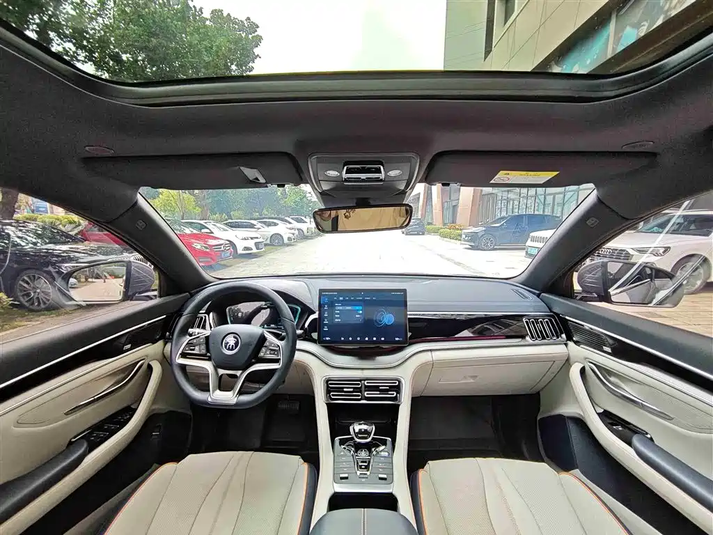BYD PLUS New Energy 2022 — фото 10