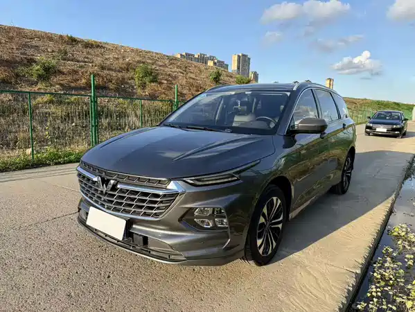 Wuling Victory 2021