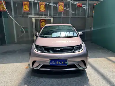 BYD Dolphin 2021