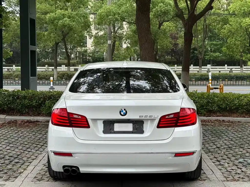 BMW 5 Series 2014