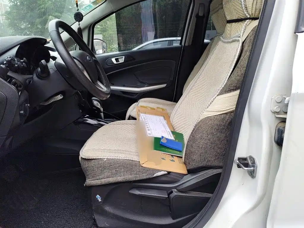 Ford Ecosport 2015 — фото 11