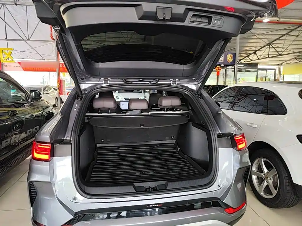 BYD Song PLUS New Energy 2025 — фото 19