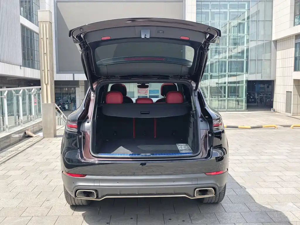 Porsche Cayenne 2021 — фото 24
