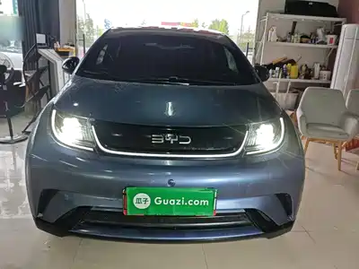 BYD Dolphin 2024