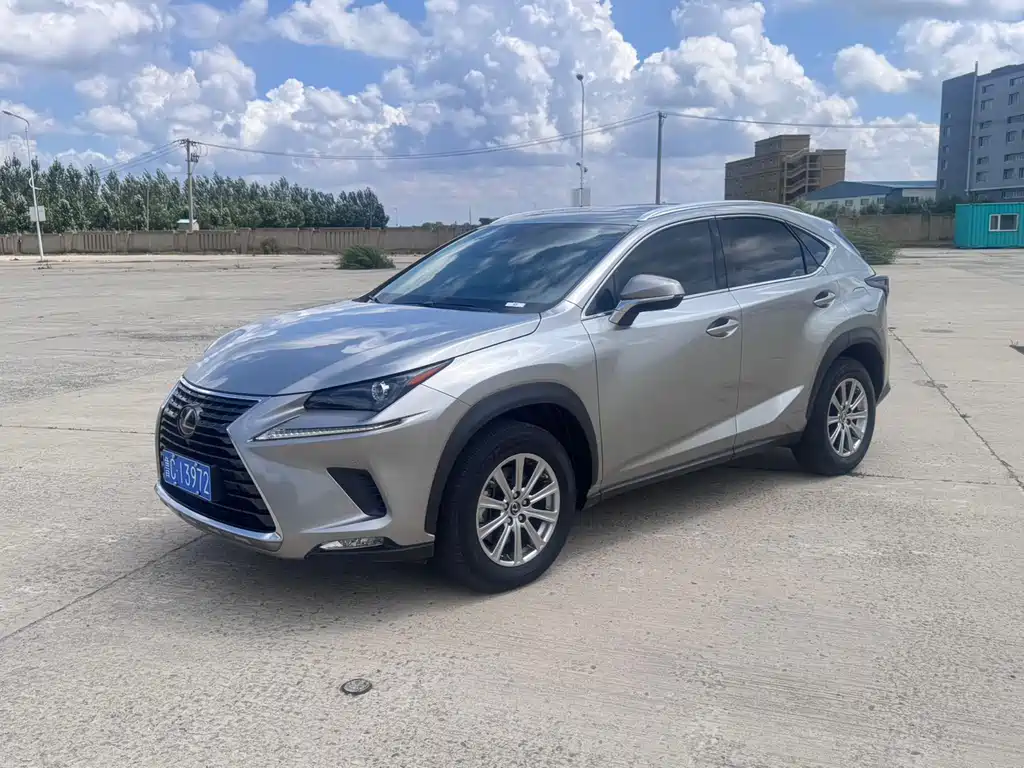 Lexus NX 2021 — фото 1
