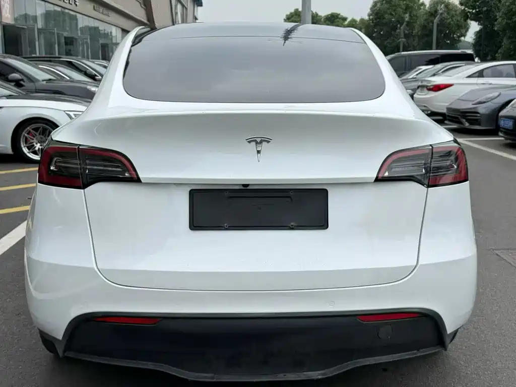 Tesla Model Y 2023 — фото 17