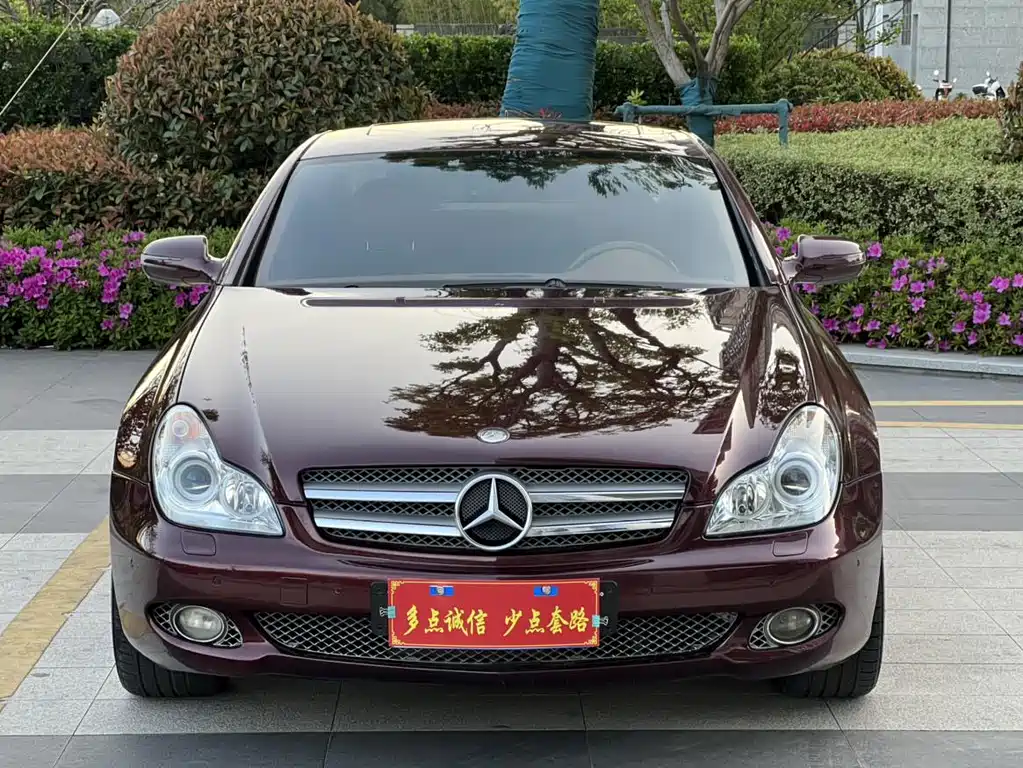 Mercedes-Benz CLS 2010 — фото 2