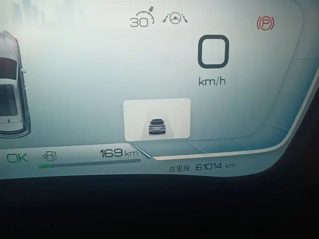BYD PLUS New Energy 2023 — фото 12