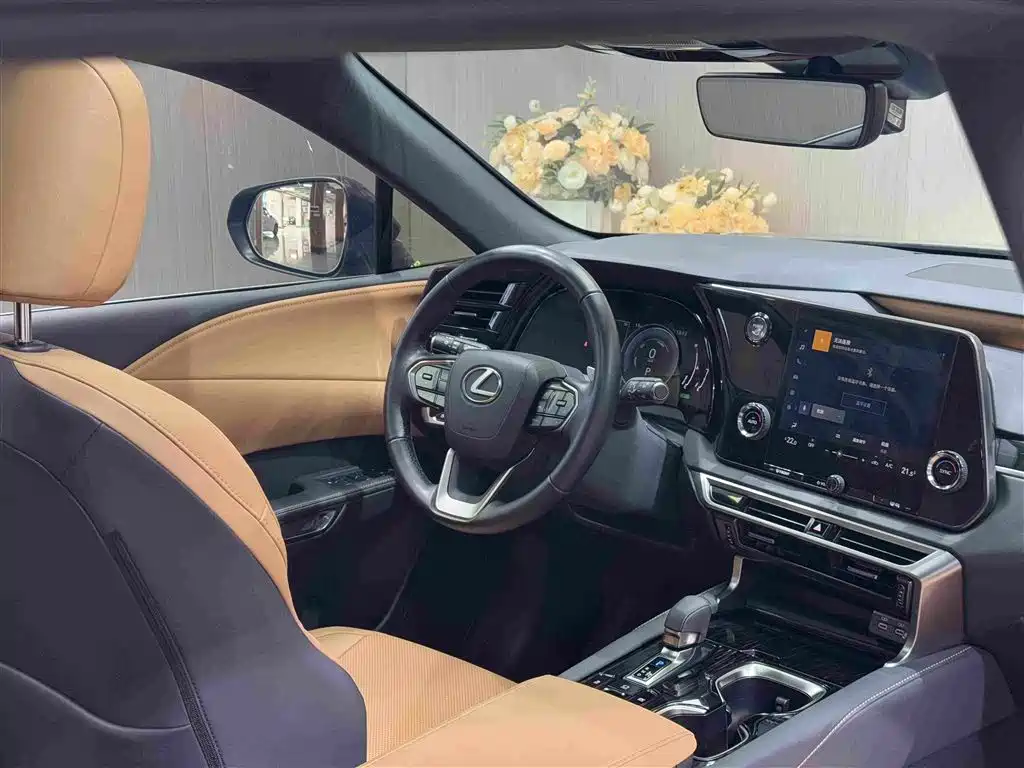 Lexus RX 2023 — фото 15