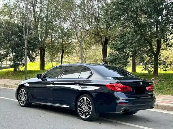 BMW 5 Series 2019
