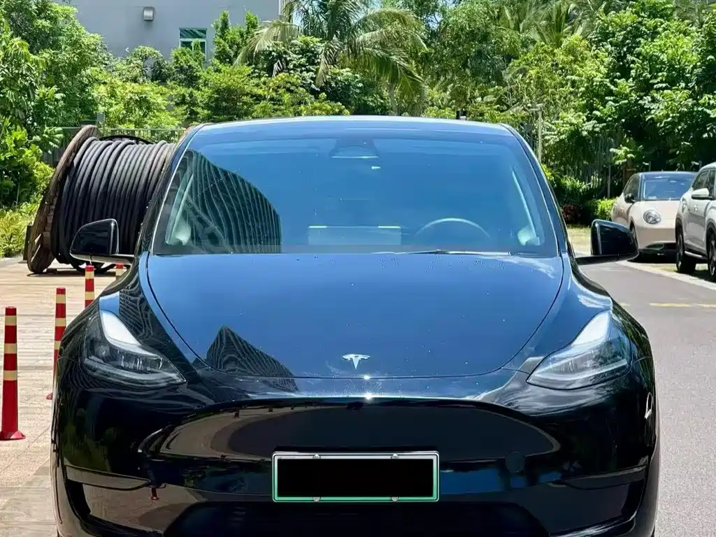 Tesla Model Y 2024 — фото 2