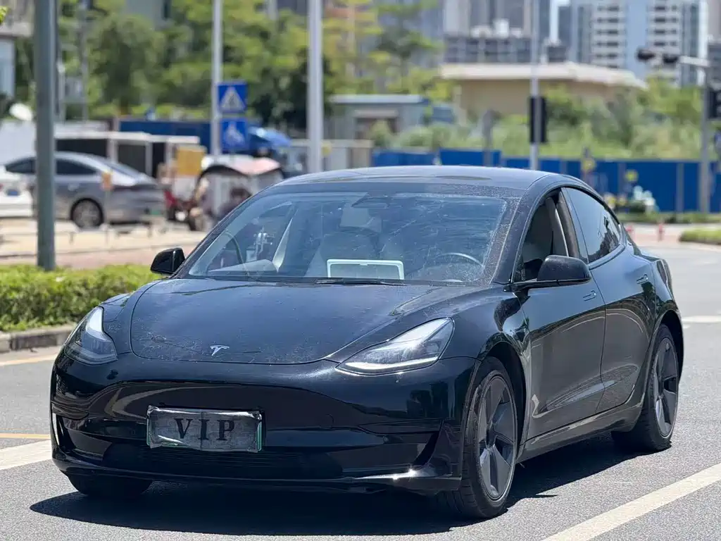 Tesla Model 3 2021 — фото 1