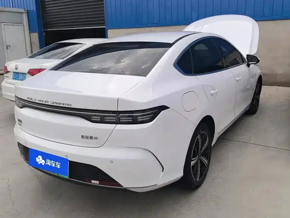 BYD Destroyer 05 2022