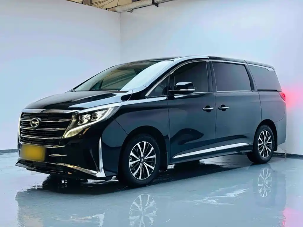 GAC Trumpchi M8 2024 — фото 3