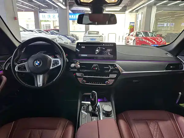 BMW 5 Series New Energy 2021