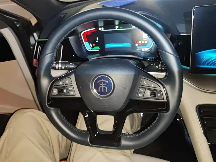 BYD PLUS New Energy 2022 — фото 15