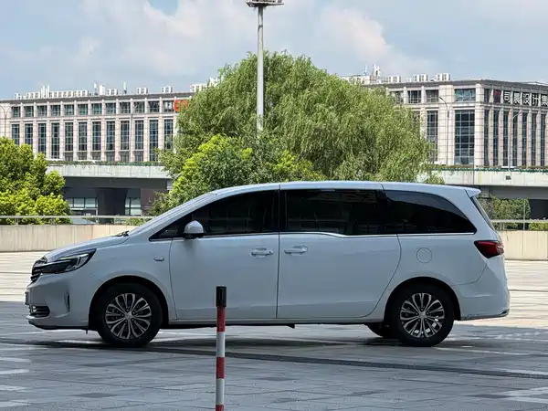Buick GL8 2021