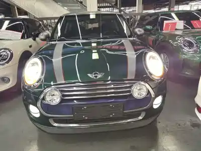 MINI MINI 2017