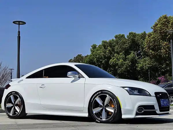 Audi TTS 2013