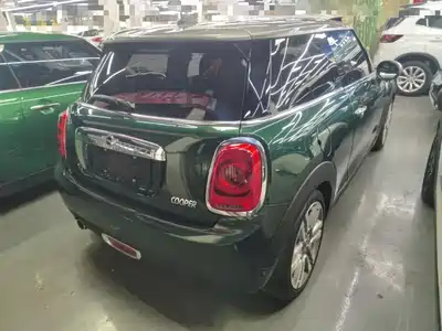 MINI MINI 2017