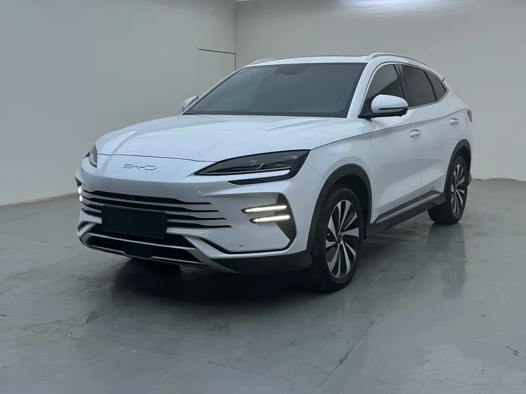 BYD PLUS New Energy 2024 — фото 3