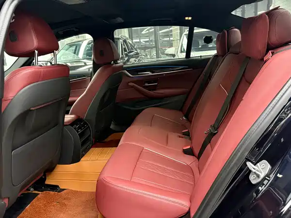 BMW 5 Series New Energy 2022