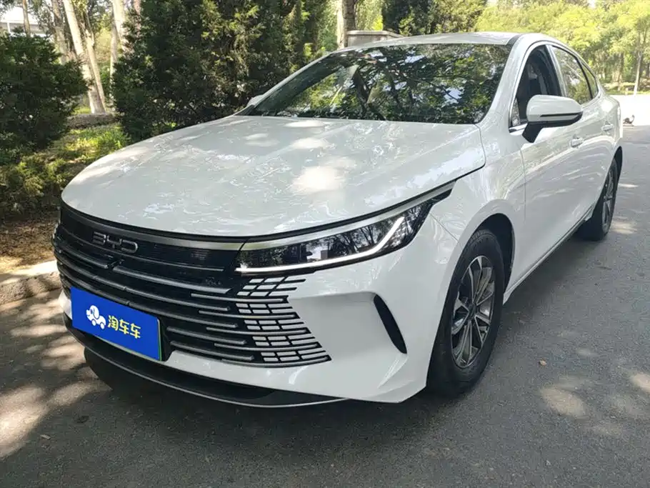 BYD Destroyer 05 2024