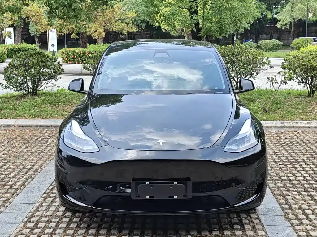 Tesla Model Y 2022 — фото 2