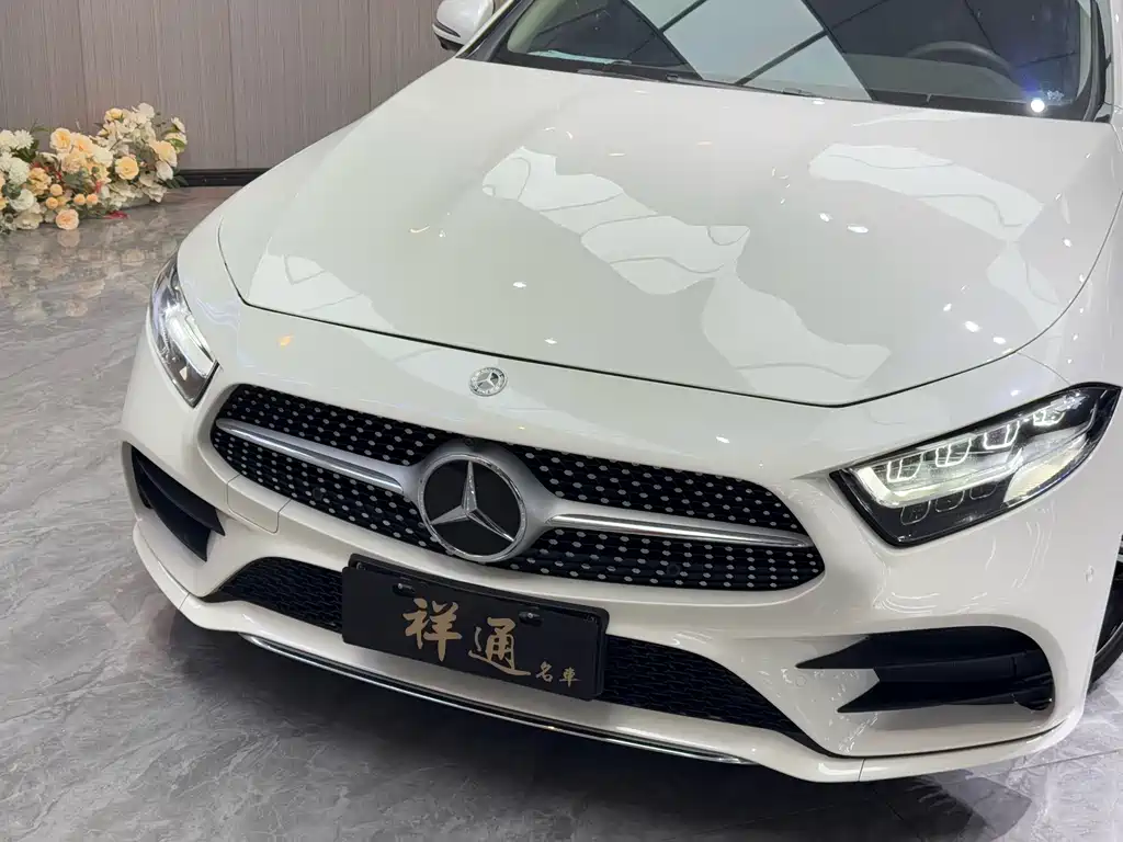 Mercedes-Benz CLS 2020 — фото 27