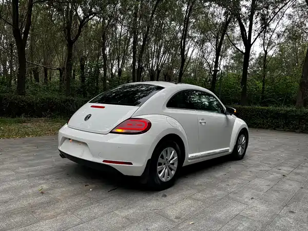 Volkswagen Beetle 2014