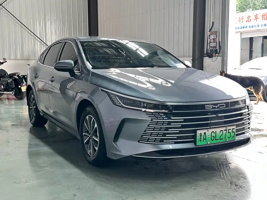 BYD Destroyer 05 2025 — фото 3