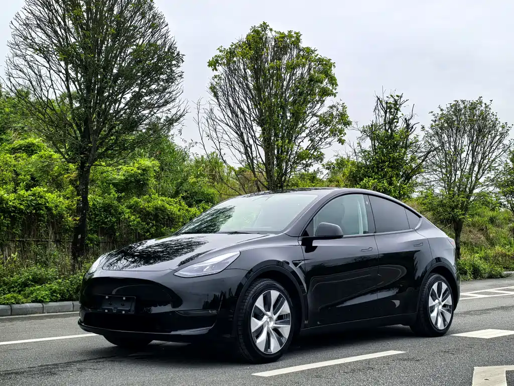 Tesla Model Y 2023 — фото 1
