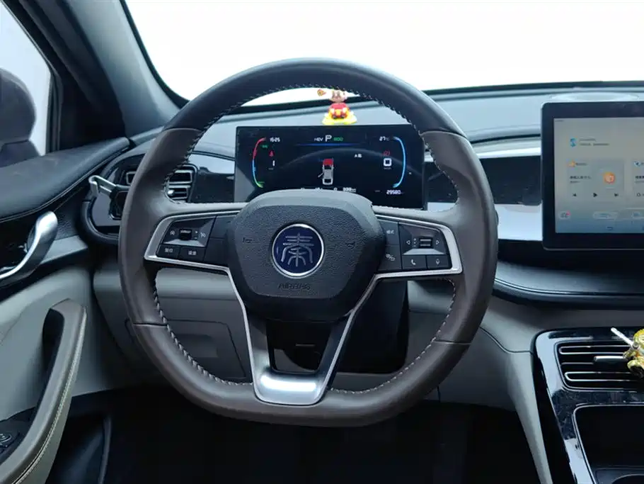 BYD Qin PLUS 2024 — фото 15