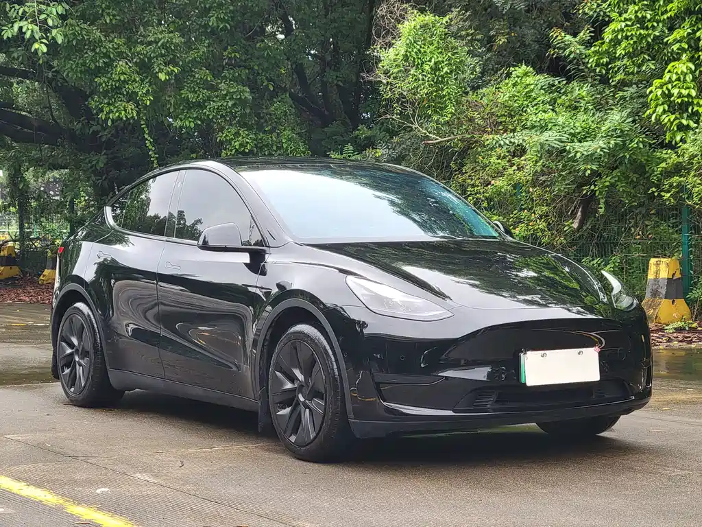 Tesla Model Y 2023 — фото 3