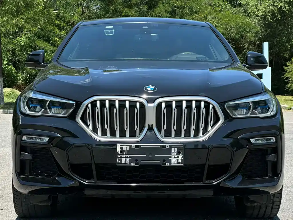 BMW X6 2021 — фото 2