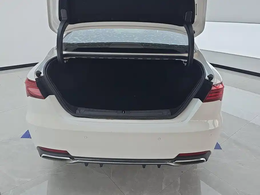 Geely Binrui 2019