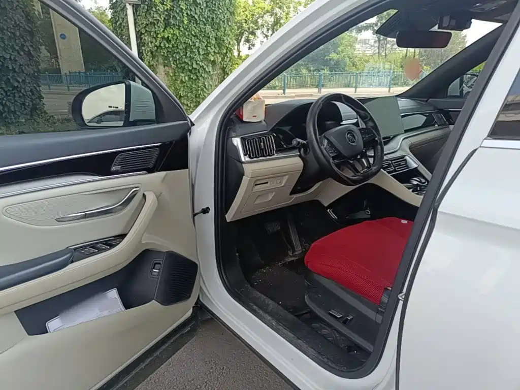 BYD PLUS New Energy 2022 — фото 16