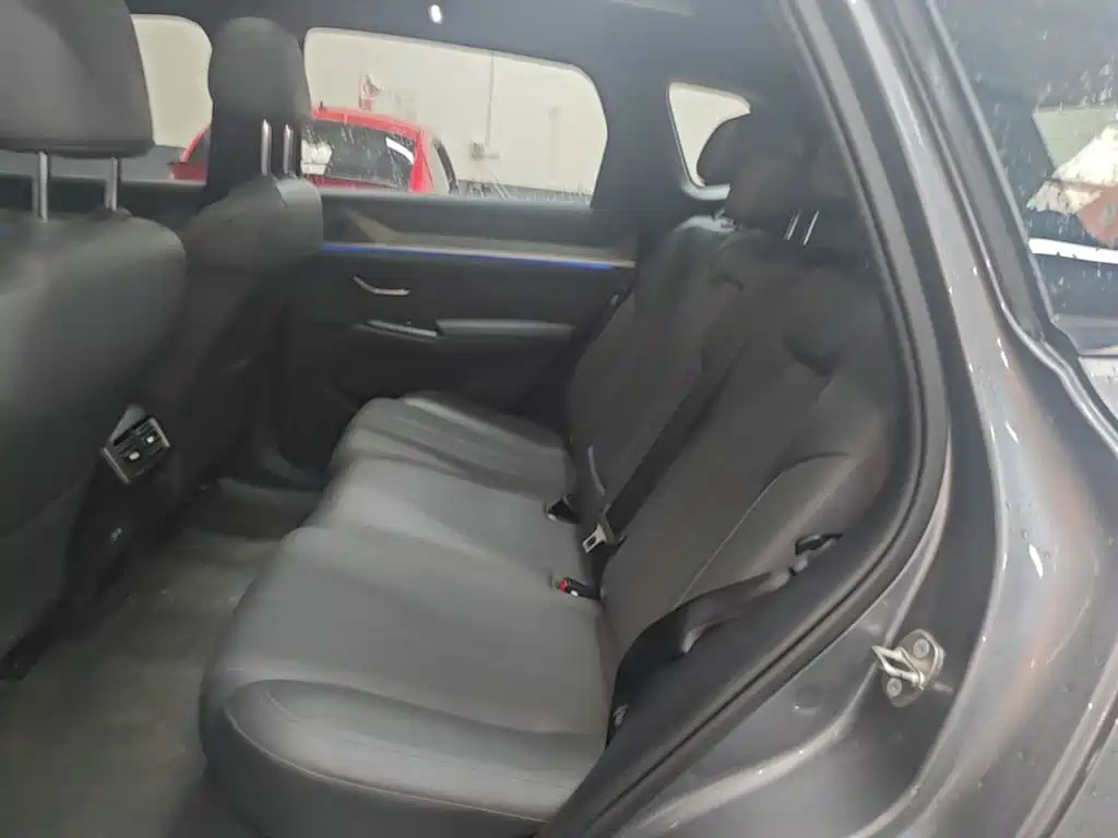 BYD Song Pro New Energy 2025 — фото 17
