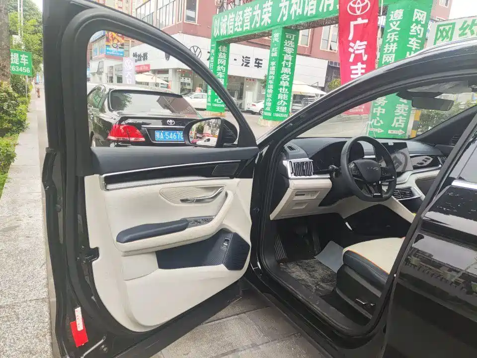 BYD PLUS New Energy 2024 — фото 3
