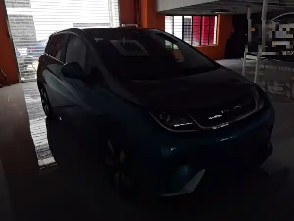 BYD Dolphin 2021