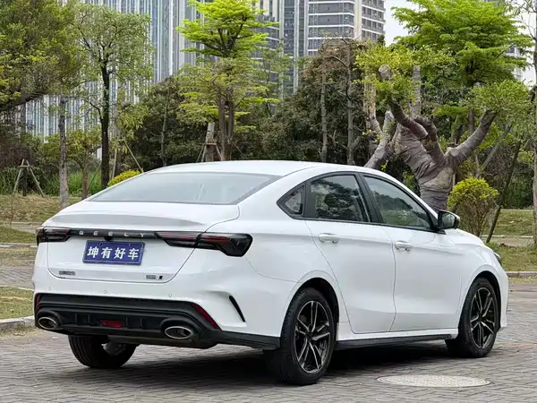Geely Binrui 2024