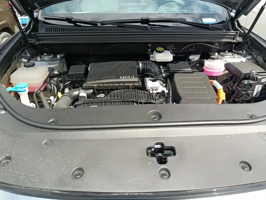 BYD Song Pro New Energy 2024 — фото 10