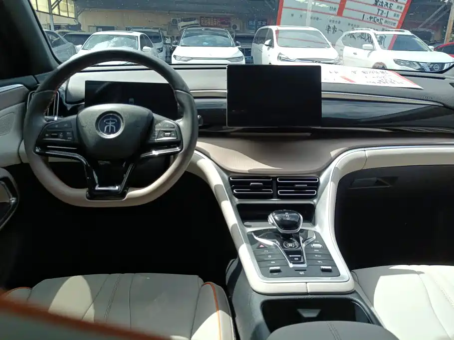 BYD Song Pro New Energy 2024 — фото 12