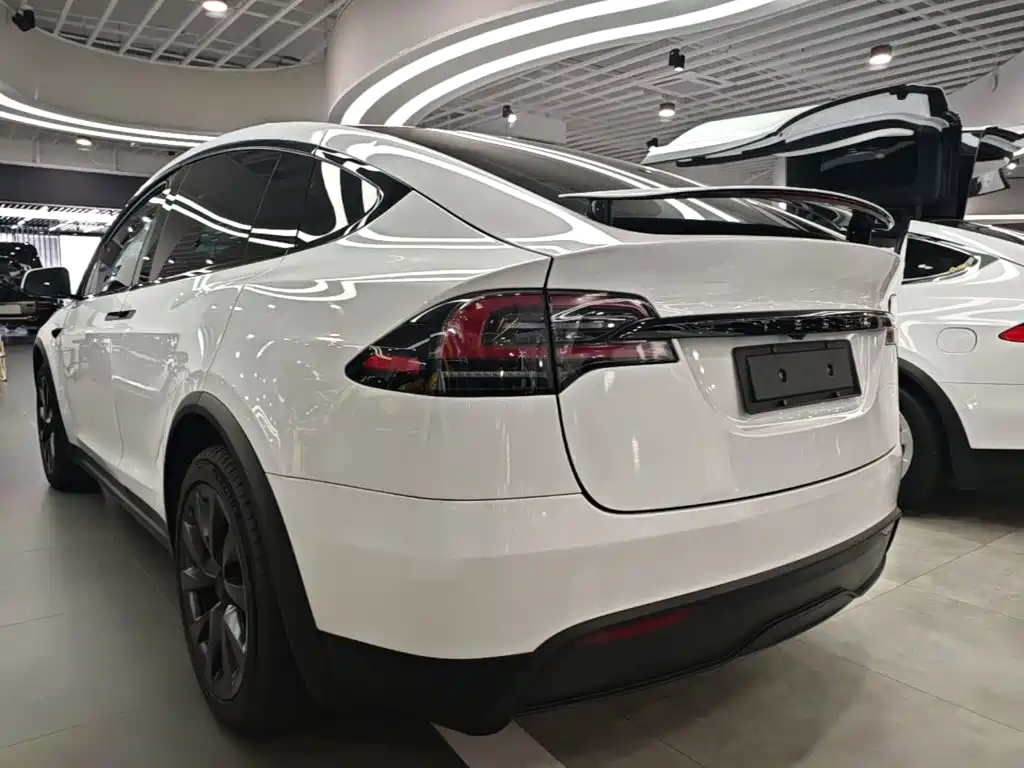 Tesla Model X 2023 — фото 5
