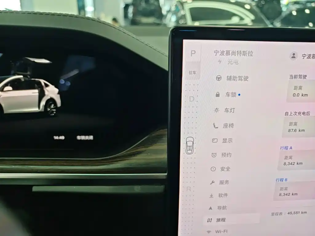 Tesla Model X 2023 — фото 14
