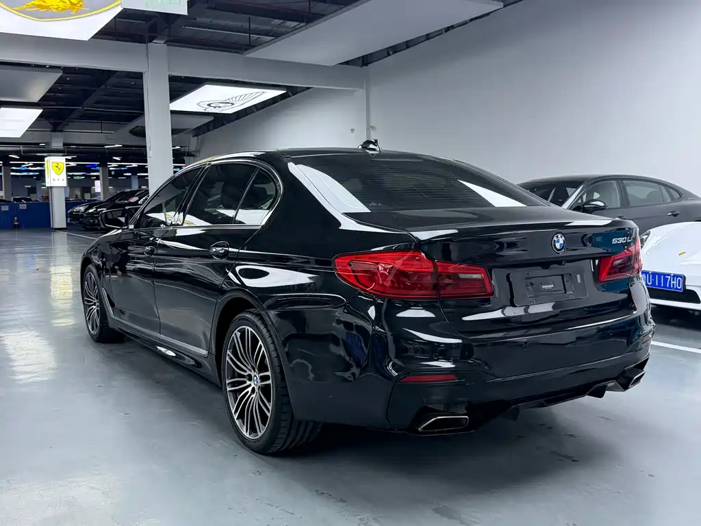 BMW 5 Series 2018 — фото 20