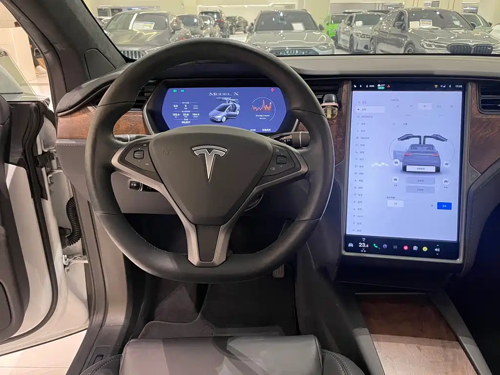 Tesla Model X 2020 — фото 11