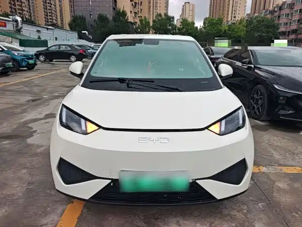 BYD Seagull 2025