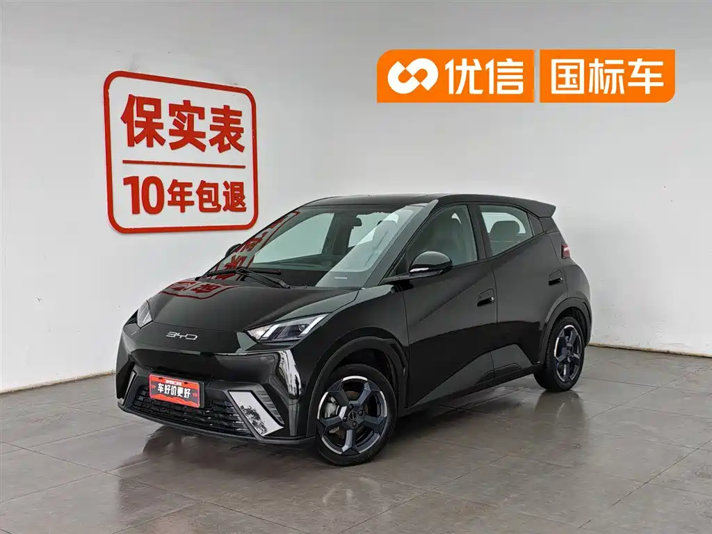 BYD Seagull 2024